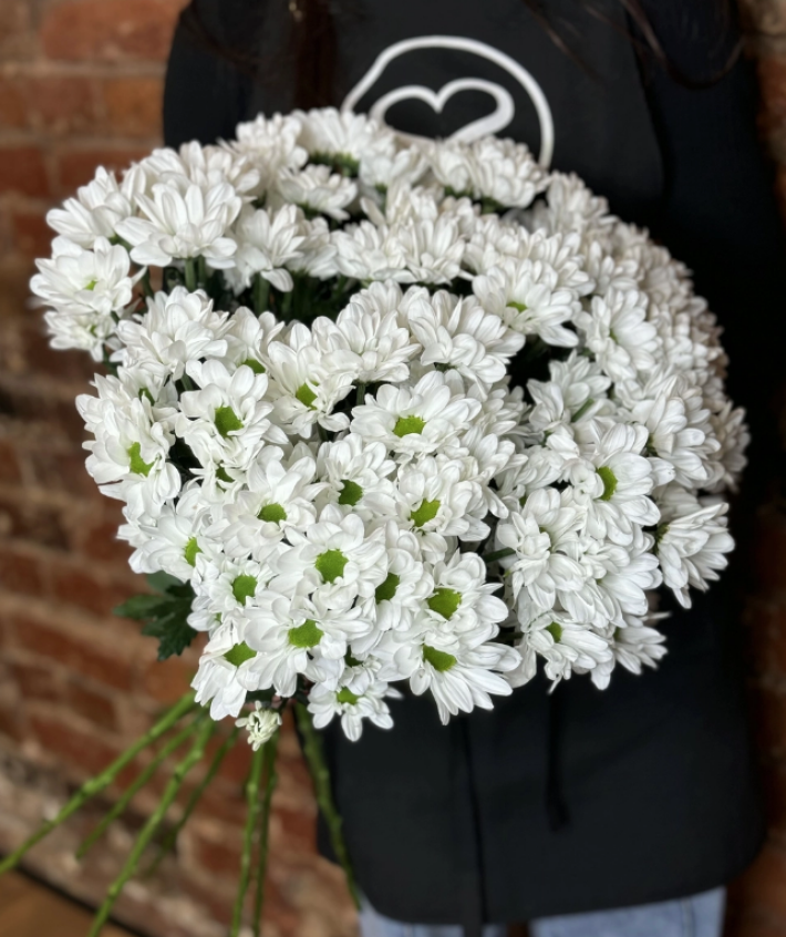 Хризантема «Кустовая»