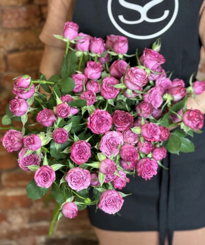 Роза «Кустовая»