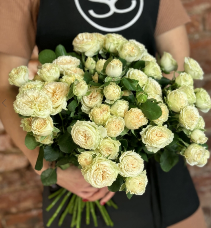 Розы «Кустовые пионовидные»