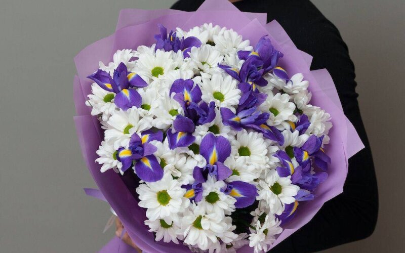 Хризантема с ирисами