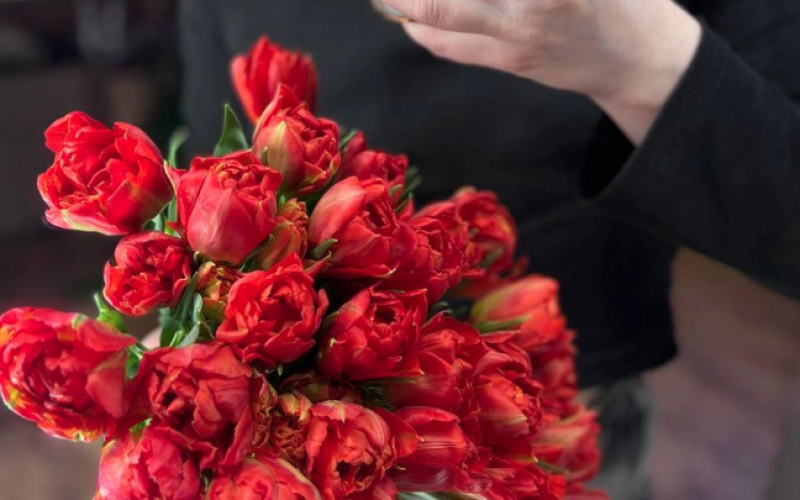 Тюльпан «Пионовидный»