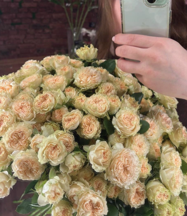 Роза «Кустовая»