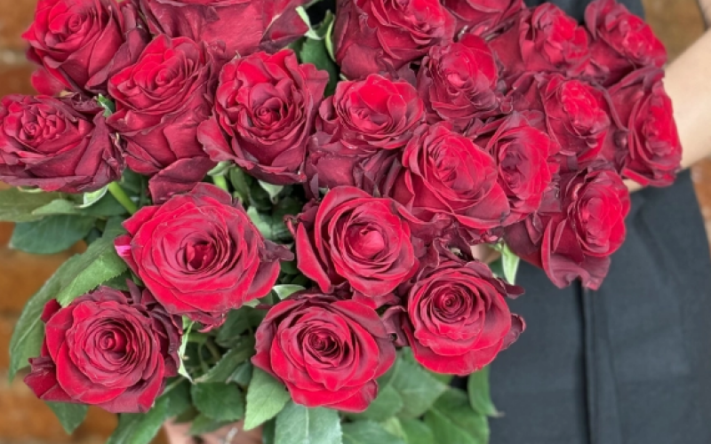 Розы «Эквадор» красные