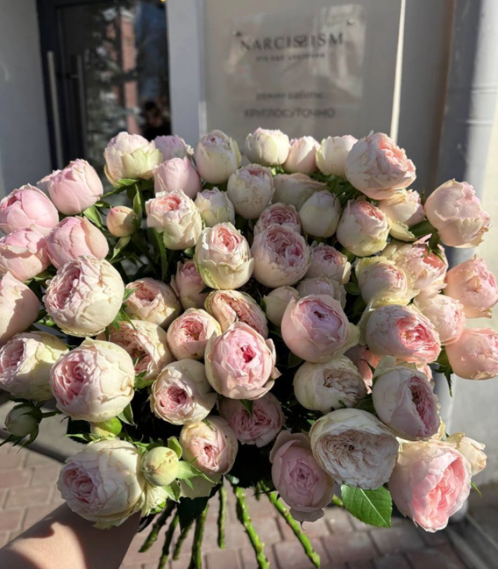 Розы «Кустовые»