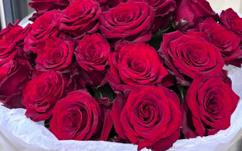 Букет из красных роз