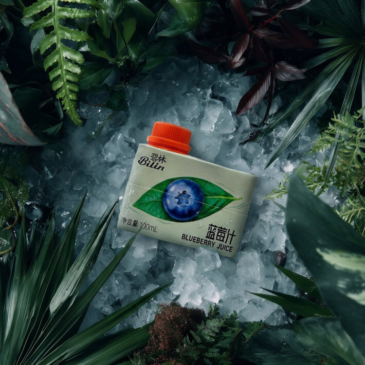 Bilin черничный