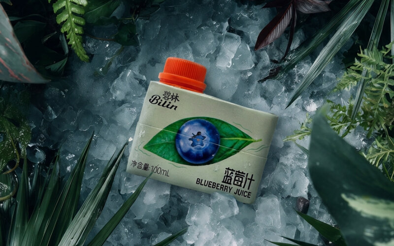 Bilin черничный