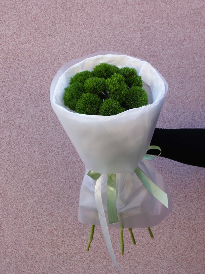 Монобукет из 9 диантусов киви