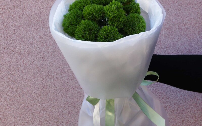 Монобукет из 9 диантусов киви