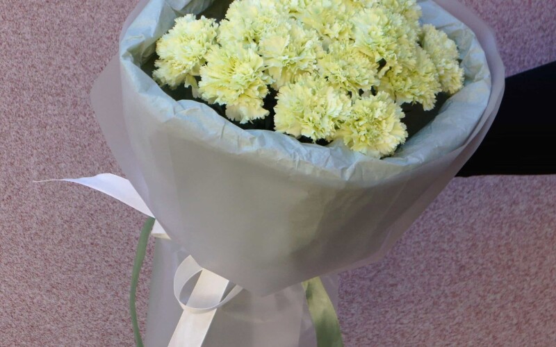 Монобукет из 15 диантусов лайм