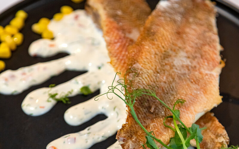 Морской окунь