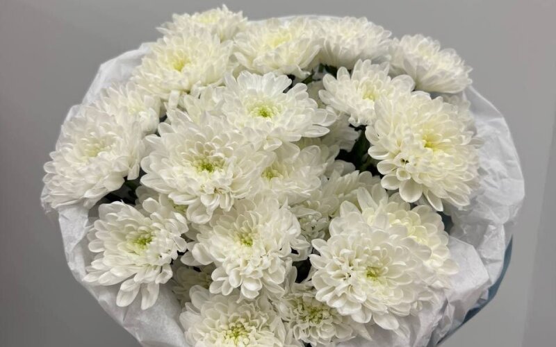 Букет из хризантем