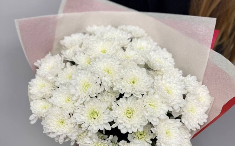 Букет из 9 веток кустовой хризантемы в упаковке