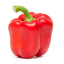 Болгарский перец