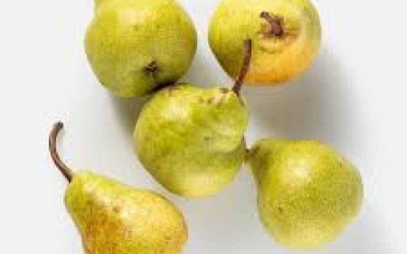 Груша " Аббат "