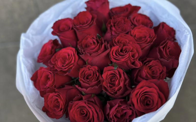 21 красная импортная роза