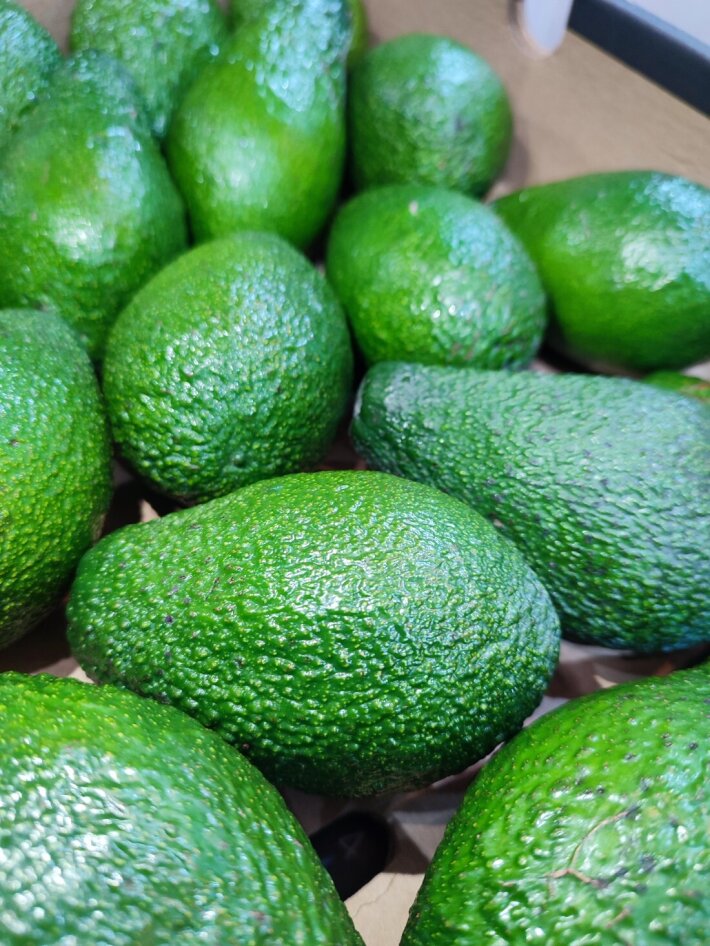 Авокадо