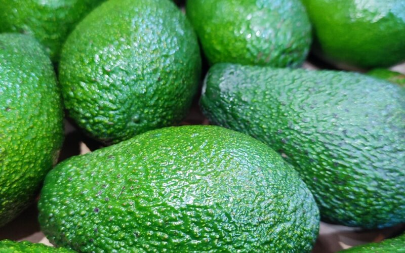 Авокадо