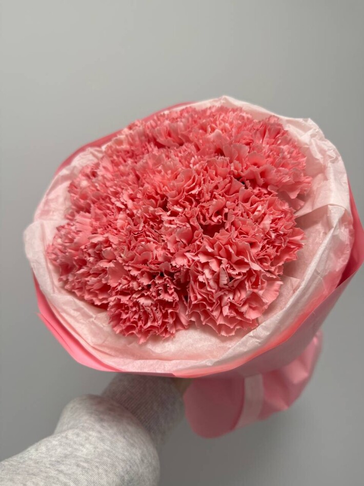 15 шт розовых диантусов в упаковке