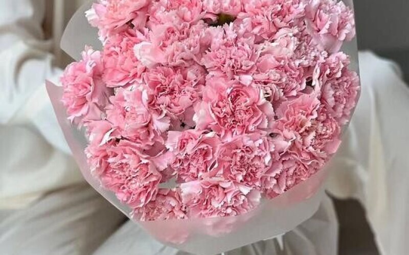 Букет из розовых диантусов 25 шт в упаковке