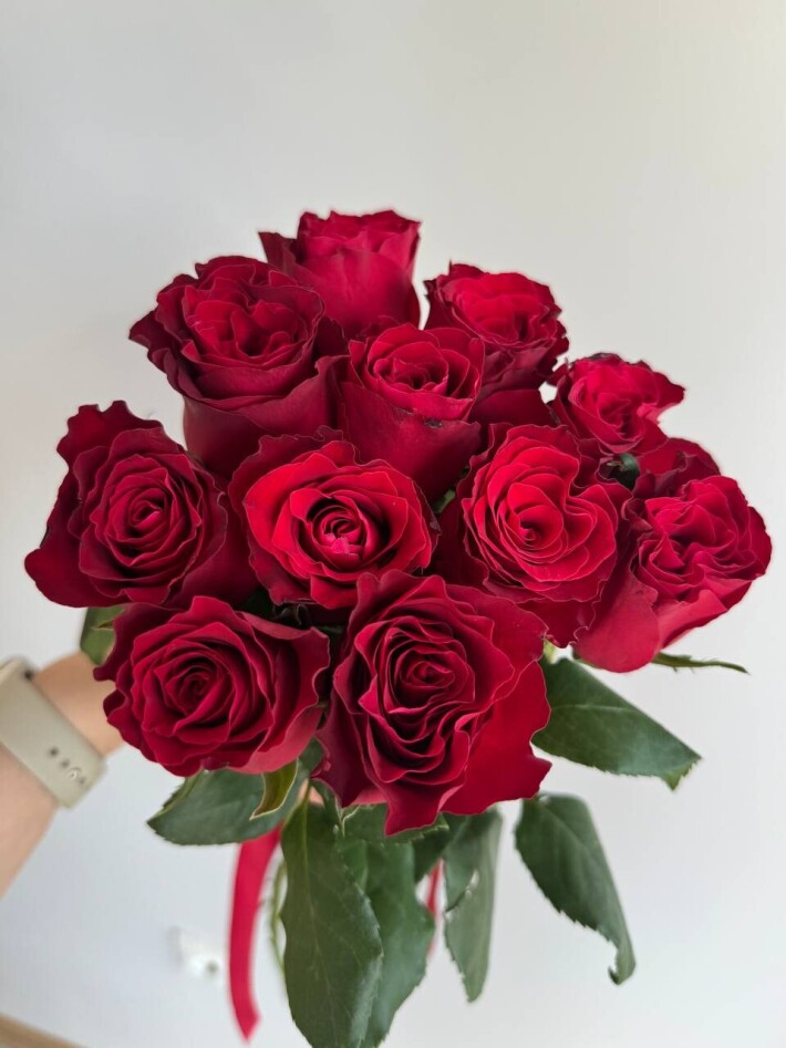 11 красных импортных роз 60 см