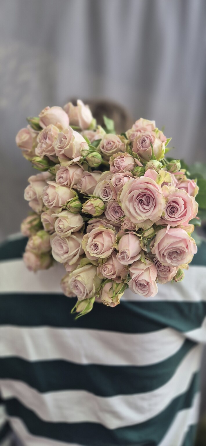 Кустовая роза