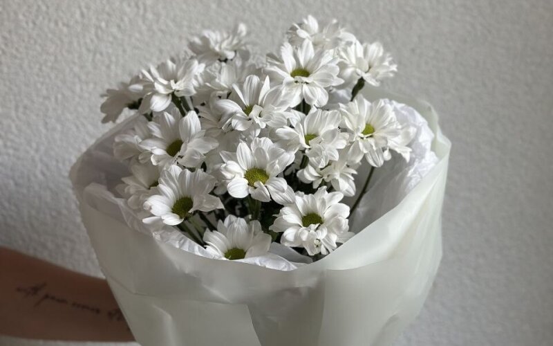 Букет хризантем(ромашек)