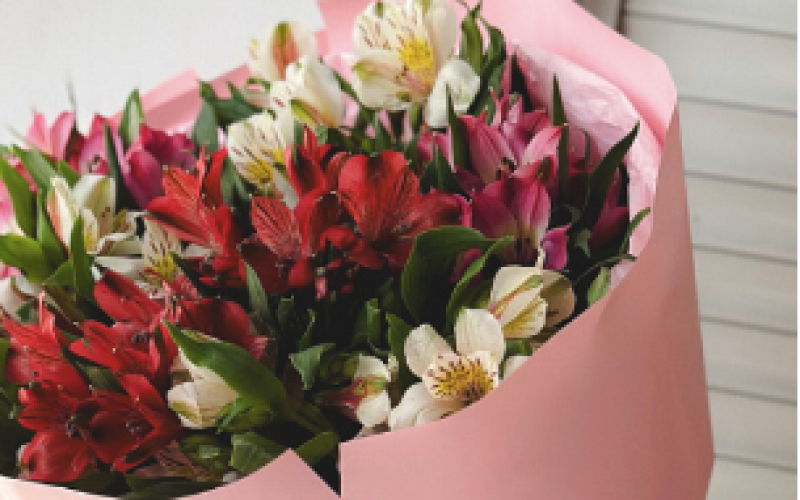 Букет альстромерия mix