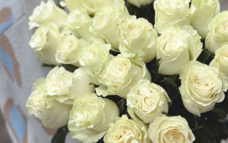 25 белых роз