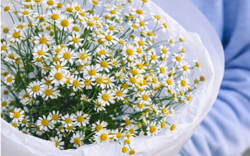 Букет «Summer»