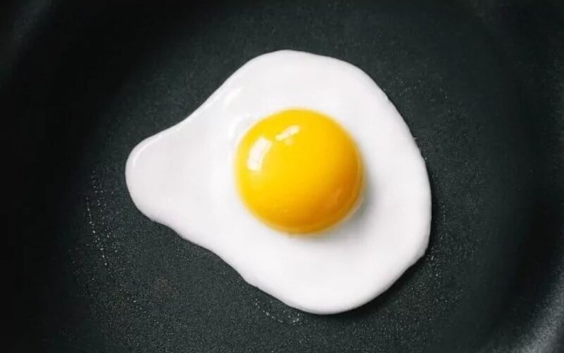 Яйцо