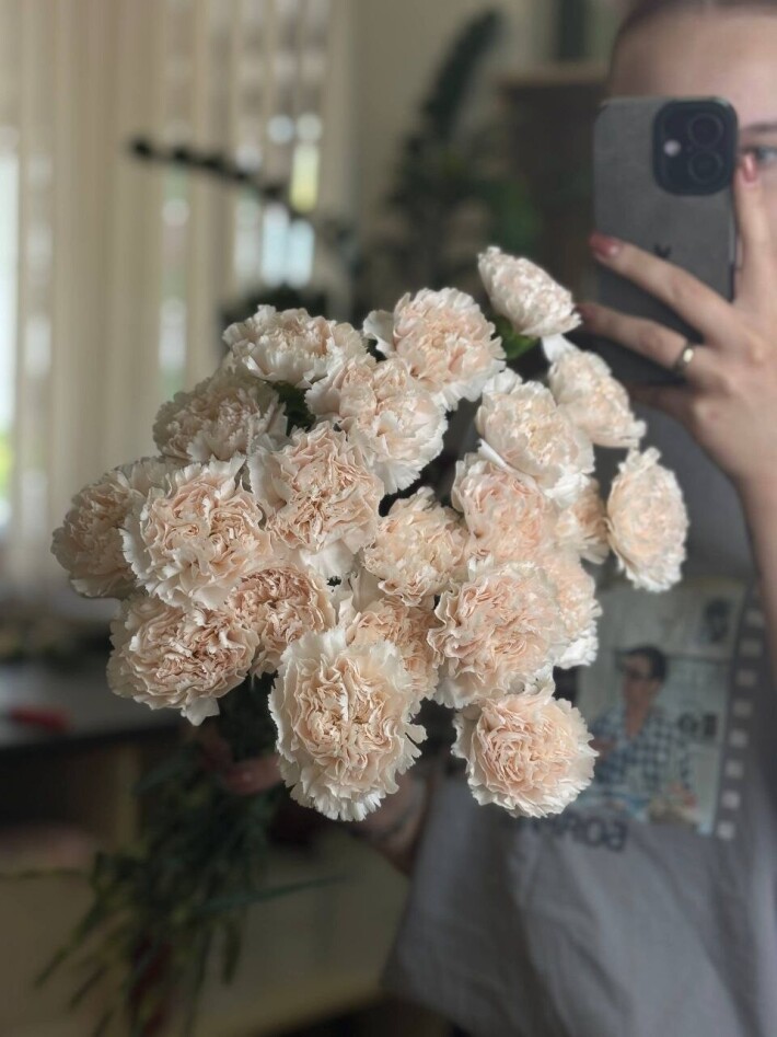 Диантусы (гвоздика)