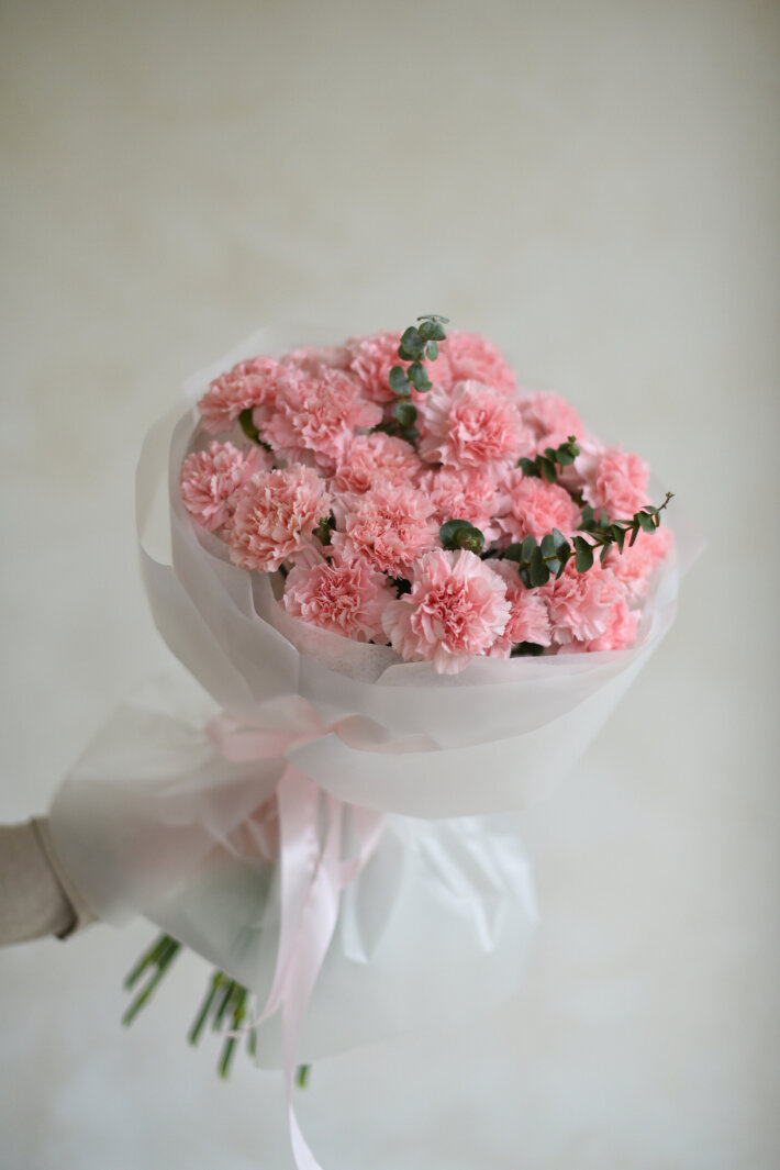 Моно розовые диантусы 25 шт