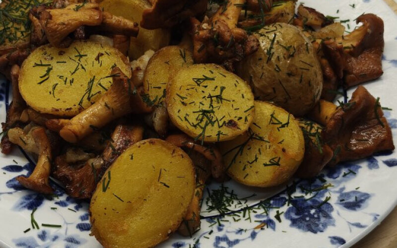 Молодой картофель с лисичками