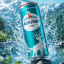 Borjomi