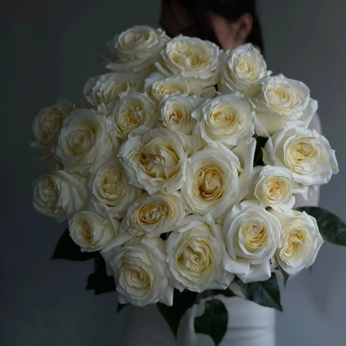 Роза «Кендллайт»